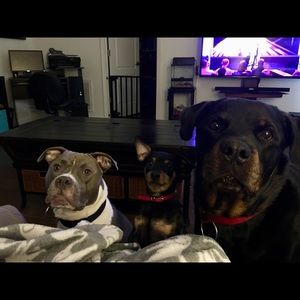 Meet your Posher, Kayla